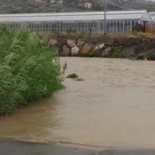 Maltempo, emanata l'allerta rossa: sotto osservazione i torrenti nell'entroterra dianese. A Imperia allagamenti a borgo Marina (Foto e video)