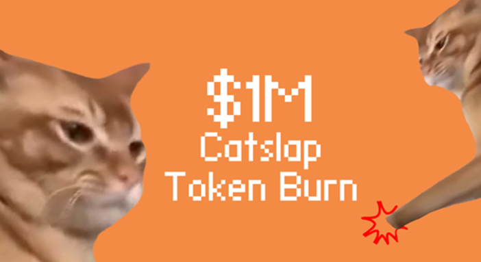Catslap brucia 1 milione di dollari in SLAP per dare il via alla bull run delle meme coin nel 2025