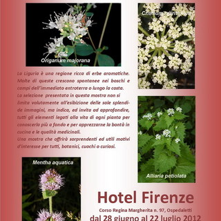 Ospedaletti: le erbe aromatiche protagoniste all’hotel Firenze Le foto dell’Archivio Moreschi in mostra fino a domenica Ospedaletti: le erbe aromatiche protagoniste all’hotel Firenze Le foto dell’Archivio Moreschi in mostra fino a domenica