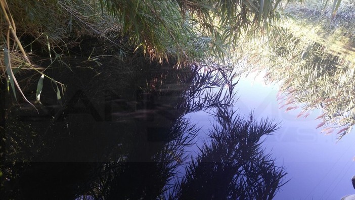 Imperia: inquinamento del torrente Prino, una seconda azienda indagata dalla Guardia di Finanza Imperia: inquinamento del torrente Prino, una seconda azienda indagata dalla Guardia di Finanza