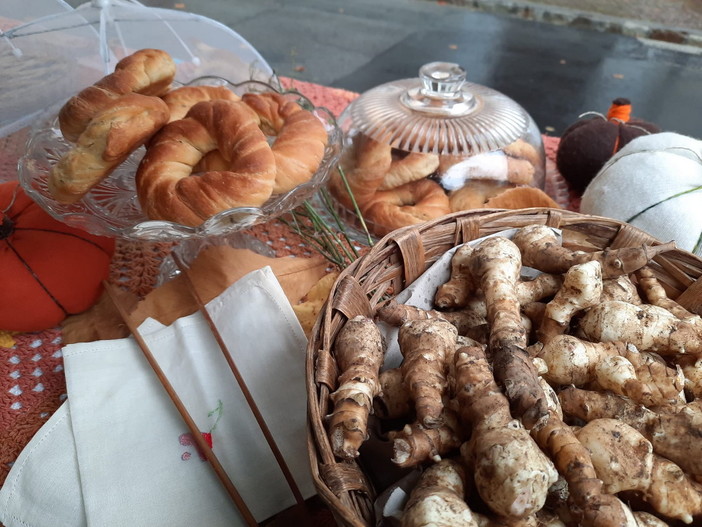 Bajardo: domenica prossima, giornata dedicata al bosco ed ai suoi frutti a cura di Comune e Biblioteca Bajardo: domenica prossima, giornata dedicata al bosco ed ai suoi frutti a cura di Comune e Biblioteca
