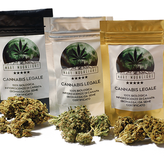 Ad Imperia verrà inaugurato il primo canapaio della provincia della Mary Moonlight, prima azienda italiana a commercializzare canapa ad uso terapeutico e ricreativo