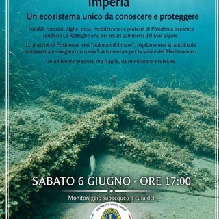 Immersioni subacquee e monitoraggio dei fondali con il Borgo Marina Diving di Imperia Immersioni subacquee e monitoraggio dei fondali con il Borgo Marina Diving di Imperia