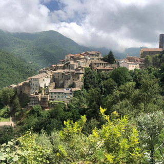 Montalto Carpasio: al via le passeggiate botaniche tra erbe e lavande organizzate dal museo