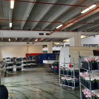 Sanremo: la CIA interviene sulla questione degli spazi al Mercato dei Fiori Sanremo: la CIA interviene sulla questione degli spazi al Mercato dei Fiori
