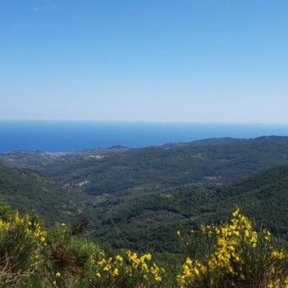 Vista dal Monte Faudo