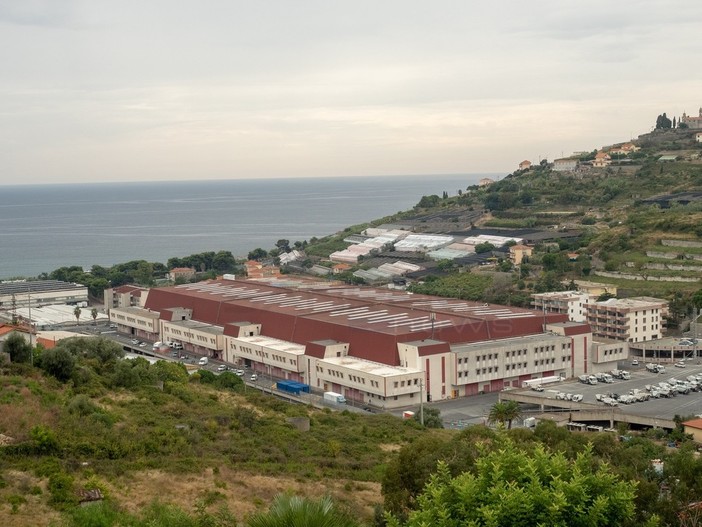 Il Mercato dei Fiori di Valle Armea