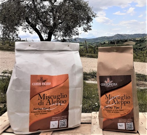 Grazie al "Miscuglio di Aleppo" l’azienda “Albenga in Tavola Gourmet” offre nuovi prodotti unici e dal sapore straordinario. Grazie al "Miscuglio di Aleppo" l’azienda “Albenga in Tavola Gourmet” offre nuovi prodotti unici e dal sapore straordinario.