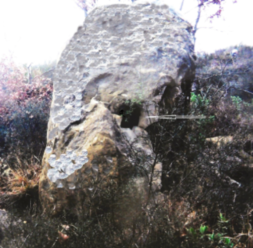 Perinaldo: importante scoperta archeologica che ricorda un passato rimasto in ombra millenni (foto) Perinaldo: importante scoperta archeologica che ricorda un passato rimasto in ombra millenni (foto)