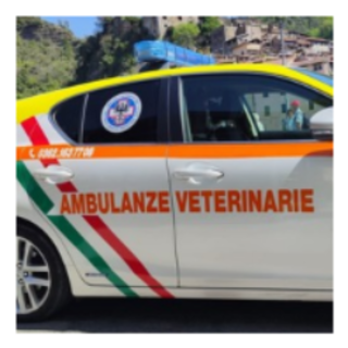 Vallecrosia, Ambulanze Veterinarie: "Non siamo mai stati considerati dalla precedente Amministrazione" Vallecrosia, Ambulanze Veterinarie: "Non siamo mai stati considerati dalla precedente Amministrazione"
