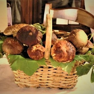 Badalucco: il fungo torna a essere grande protagonista presso Le Macine del Confluente. Badalucco: il fungo torna a essere grande protagonista presso Le Macine del Confluente.