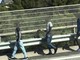 Migranti in autostrada sul viadotto di Arma. Su Facebook piovono i commenti di odio: "Schiacciateli tutti" Migranti in autostrada sul viadotto di Arma. Su Facebook piovono i commenti di odio: "Schiacciateli tutti"