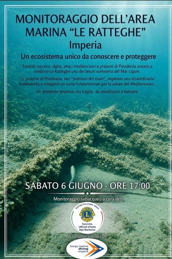 Immersioni subacquee e monitoraggio dei fondali con il Borgo Marina Diving di Imperia Immersioni subacquee e monitoraggio dei fondali con il Borgo Marina Diving di Imperia
