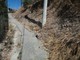 Ventimiglia: tempestivo intervento dell'Amministrazione sulla mulattiera dietro via Tenda, in mattinata il primo sopralluogo Ventimiglia: tempestivo intervento dell'Amministrazione sulla mulattiera dietro via Tenda, in mattinata il primo sopralluogo