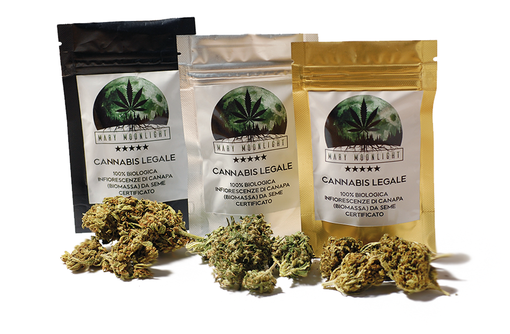 Ad Imperia verrà inaugurato il primo canapaio della provincia della Mary Moonlight, prima azienda italiana a commercializzare canapa ad uso terapeutico e ricreativo Ad Imperia verrà inaugurato il primo canapaio della provincia della Mary Moonlight, prima azienda italiana a commercializzare canapa ad uso terapeutico e ricreativo