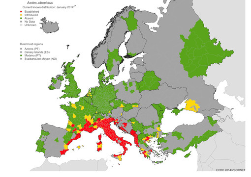 In questa mappa dell'European Centre for Disease Prevention and Control si può osservare quanto sia diffusa la zanzara tigre (dati aggiornati al gennaio 2014)