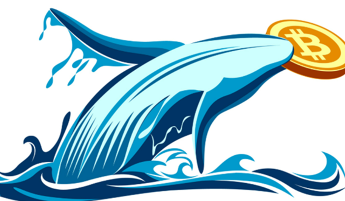 Il ritorno delle whale di Bitcoin rappresenta un punto di svolta per BTC e la nuova presale Bitcoin Bull?