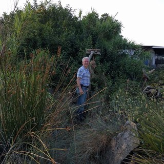 Bordighera: opere di Cammi, sopralluogo del Presidente del Consiglio comunale Farotto