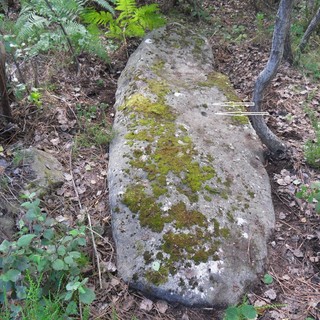 Bordighera, Eremita (Archeonervia): "Scoperto un menhir tra i boschi di Montenero" Bordighera, Eremita (Archeonervia): "Scoperto un menhir tra i boschi di Montenero"
