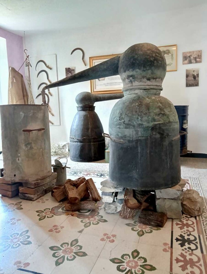 Carpasio, alla scoperta del Museo della Lavanda Carpasio, alla scoperta del Museo della Lavanda