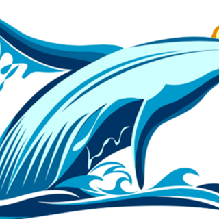 Il ritorno delle whale di Bitcoin rappresenta un punto di svolta per BTC e la nuova presale Bitcoin Bull?