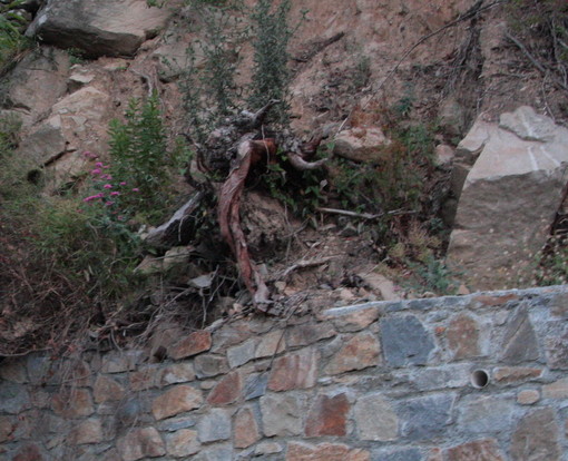 Sfiorato l'incidente sulla SP 548: operai spaccano masso e lettore rischia di essere travolto