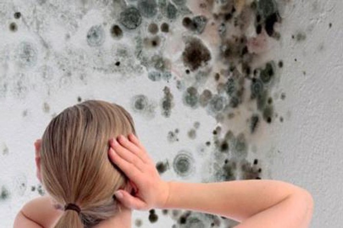 Muffa in casa, quali sono i problemi per la salute?