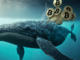 Una Bitcoin Whale piazza una scommessa short da 368 milioni di dollari con leva 40x prima del FOMC