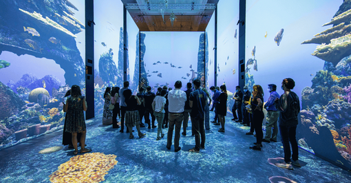 'Immersion', mostra interattiva al Museo oceanografico di Monaco