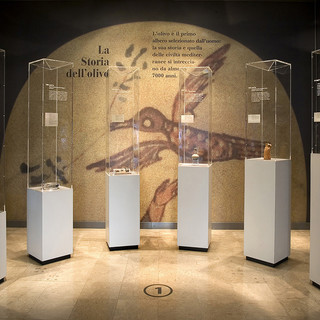 Imperia: 23a ‘Settimana della cultura d’impresa’, fino al 28 novembre in programma oltre 100 eventi in tutta Italia Imperia: 23a ‘Settimana della cultura d’impresa’, fino al 28 novembre in programma oltre 100 eventi in tutta Italia