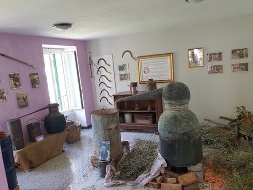 Weekend di incontri al Museo della Lavanda e all'Ostello Leo Anfosso nel Borgo di Carpasio