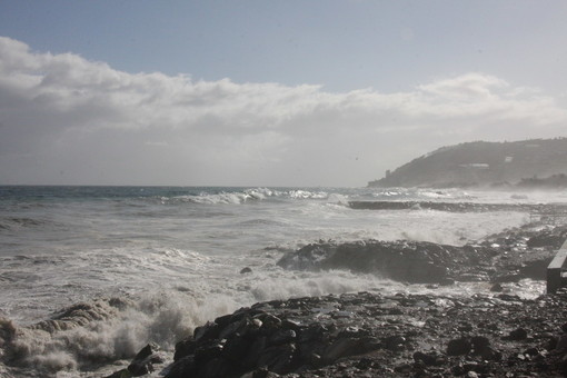 Sanremo: odore insopportabile sul lungomare Calvino, erano meduse morte sulla spiaggia