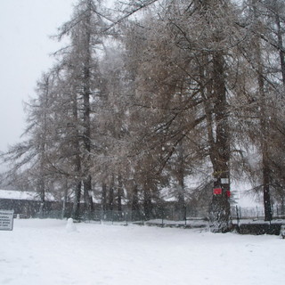 Forte nevicata questa mattina a Col di Nava, le foto di Stefano Sciandra