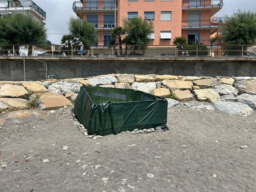 Nidi di tartaruga marina: Piana e Giampedrone “La Regione stanzia 84mila euro per tutelarli”