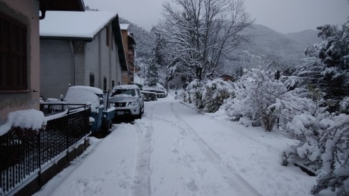 Pigna: le immagini di un lettore sulla forte nevicata di questa mattina Pigna: le immagini di un lettore sulla forte nevicata di questa mattina
