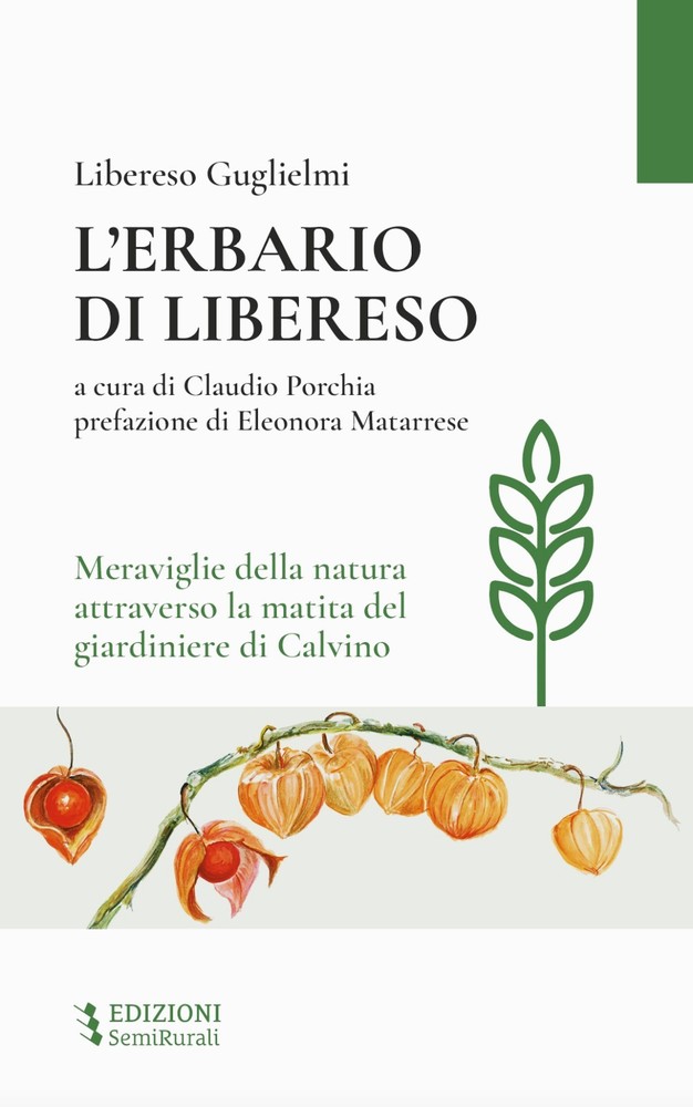 Carpasio "La magia delle piccole cose" di Libereso Guglielmi al Museo della lavanda di Carpasio dal 12 luglio al 31 agosto. Carpasio "La magia delle piccole cose" di Libereso Guglielmi al Museo della lavanda di Carpasio dal 12 luglio al 31 agosto.