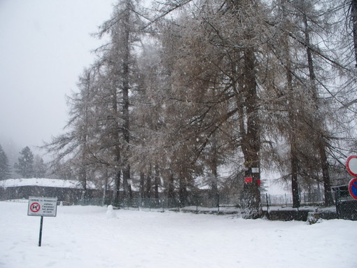 Forte nevicata questa mattina a Col di Nava, le foto di Stefano Sciandra
