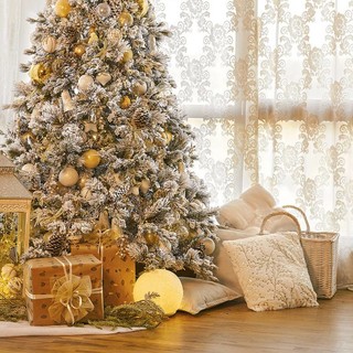 Il Natale si avvicina ed è ormai tempo di cercare dei doni! Con Agricola tante idee regalo per tutti (Video)