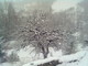 Entroterra: la foto di un lettore del Colle di Nava imbiancato dai fiocchi di neve