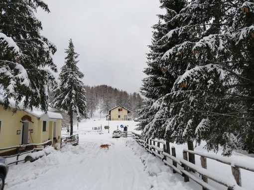 Lo spettacolo della neve a Colle Melosa: il manto bianco si posa sulla natura e incanta gli occhi