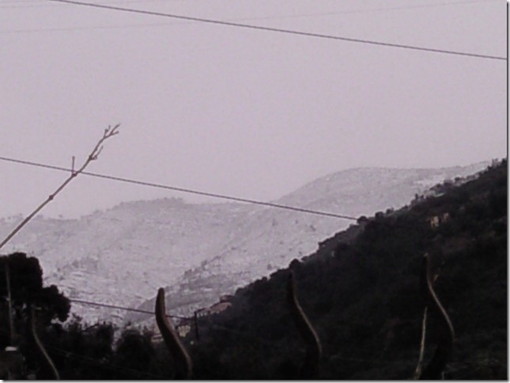 Sanremo: la neve a Verezzo fotografata da una lettrice