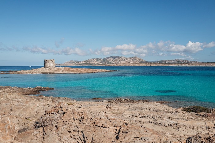 Noleggio catamarano in Sardegna: scopri il fascino selvaggio dell'Asinara