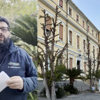 Fondazione Chiappori a Ventimiglia, Martinetto: "La verità sono i documenti e sono pronto a portarli in Procura"