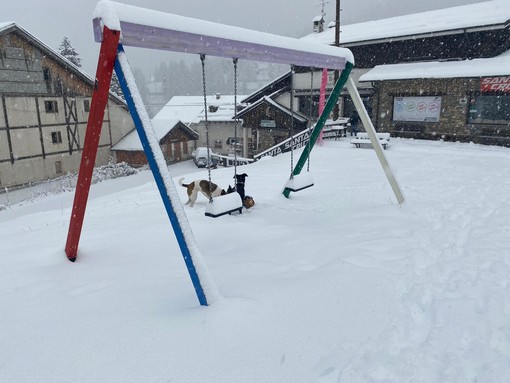 Fitta nevicata a Monesi, le immagini postate sui social mostrano l'entroterra imbiancato (foto e video)
