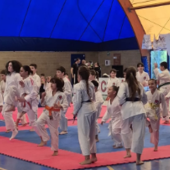 Arti marziali. "Natale sul Tatami", grande successo per l'allenamento intersociale Arti marziali. "Natale sul Tatami", grande successo per l'allenamento intersociale
