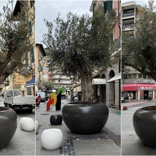 Ventimiglia, nuovo arredo urbano in via Ruffini: spuntano gli ulivi (Foto)
