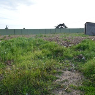 Taggia: la Giunta comunale approva il Regolamento orti urbani, nel 2016 il bando per l'assegnazione dei lotti