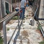Sanremo, la squadra di pronto intervento impegnata in nuovi lavori su pavimentazione, arredo urbano e scalinate Sanremo, la squadra di pronto intervento impegnata in nuovi lavori su pavimentazione, arredo urbano e scalinate
