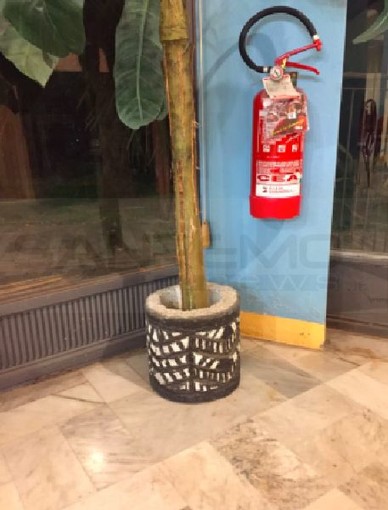 Bordighera: le opere di Sergio 'Ciacio' Biancheri usate come getta rifiuti, l'attacco del consigliere Marani “Hanno eliminato la cultura da questa città”