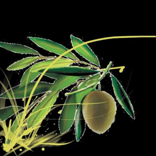 'Oliva Verde', nasce una pagina su facebook per gli amanti della Riviera dei Fiori